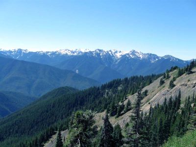 IMG_2158.jpg