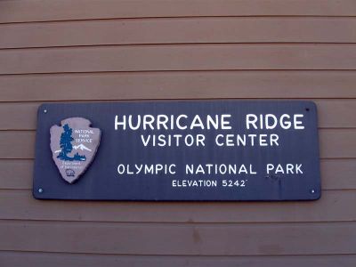 IMG_2164.jpg