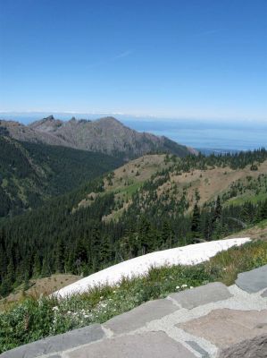 IMG_2186.jpg