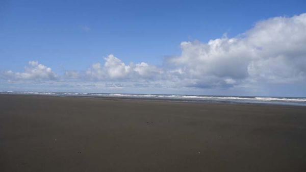 DSC00256.jpg