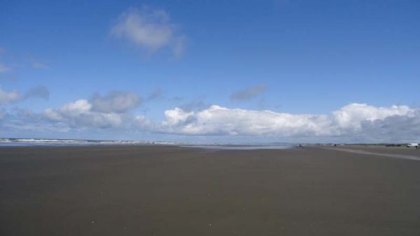 DSC00257.jpg