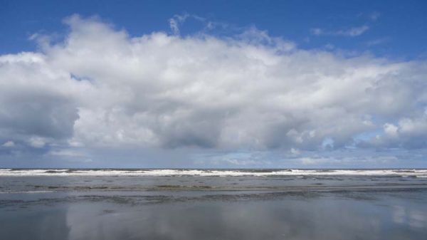DSC00271.jpg
