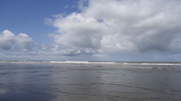 DSC00272.jpg