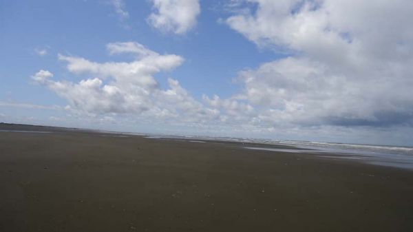 DSC00290.jpg