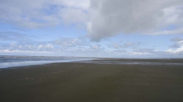 DSC00294.jpg