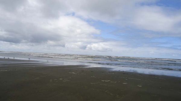 DSC00295.jpg
