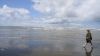 Filename=DSC00276.jpg
Filesize=53KiB
Dimensions=800x450
Date added=Mar 26, 2024 DSC00276.jpg