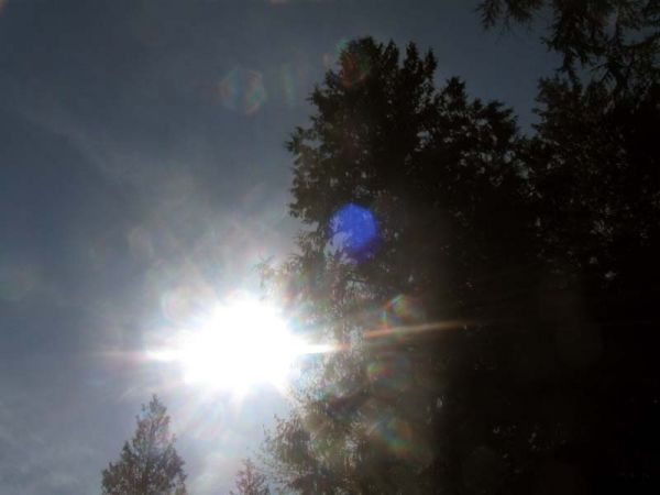 IMG_2470.jpg