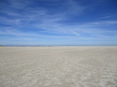 IMG_0005.jpg