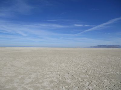IMG_0006.jpg