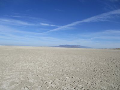 IMG_0007.jpg