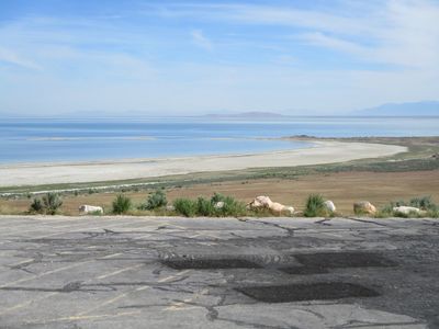 IMG_0028.jpg