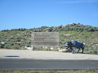 IMG_1059.jpg