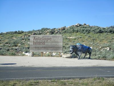 IMG_1060.jpg