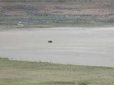 IMG_1065.jpg