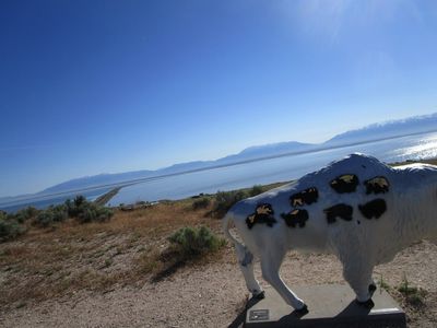 IMG_1070.jpg
