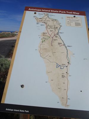 IMG_1072.jpg