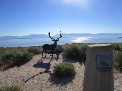 IMG_1073.jpg