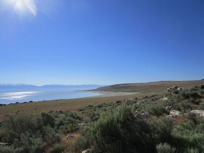 IMG_1081.jpg