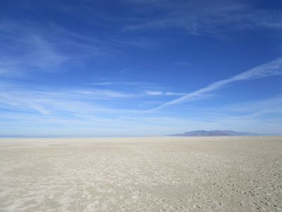 IMG_1083.jpg