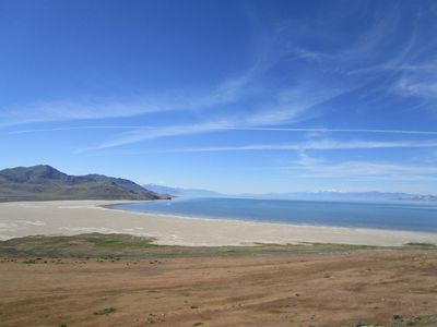 IMG_1101.jpg