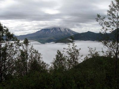 IMG_1935.jpg