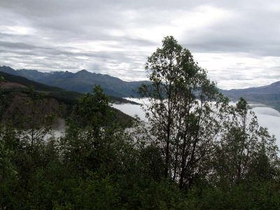 IMG_1936.jpg