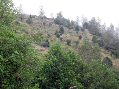 IMG_1945.jpg