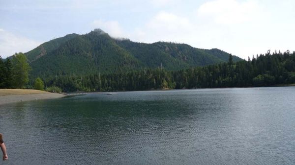 DSC01442.jpg