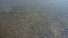DSC01435.jpg