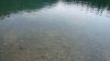 DSC01436.jpg