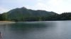 DSC01442.jpg