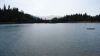 DSC01446.jpg