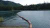 DSC01447.jpg