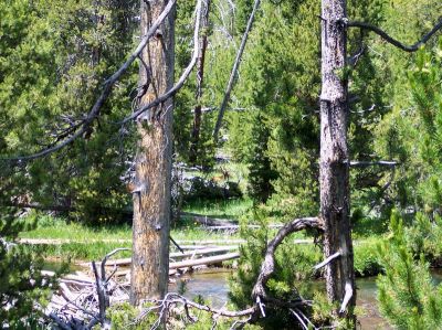 100_1031.jpg