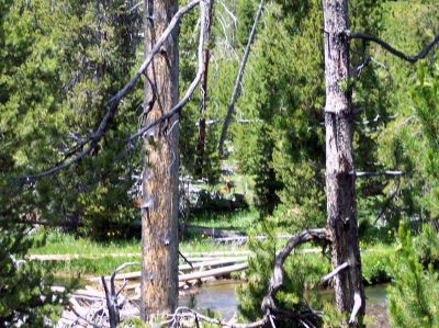 100_1032.jpg