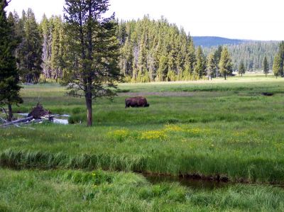 100_1033.jpg
