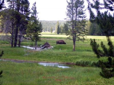 100_1034.jpg