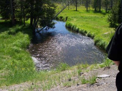 100_1038.jpg