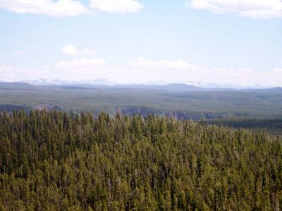 100_1041.jpg