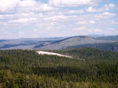 100_1042.jpg