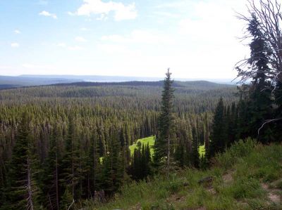 100_1043.jpg