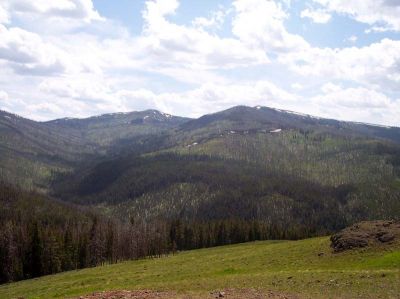 100_1047.jpg