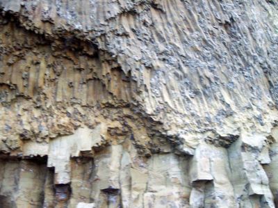 100_1057.jpg