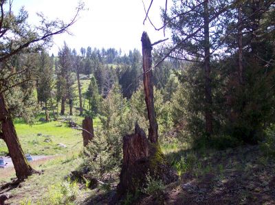 100_1069.jpg