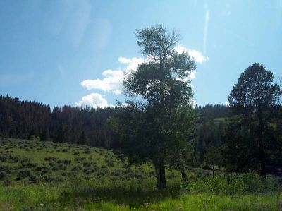 100_1073.jpg