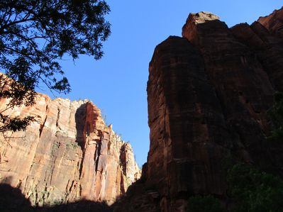 IMG_0042.jpg