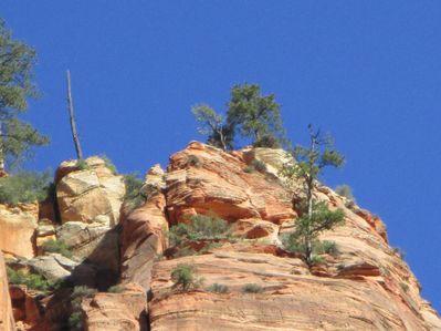 IMG_0063.jpg