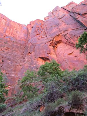 IMG_0067.jpg