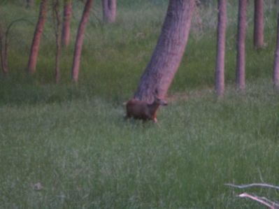IMG_0079.jpg